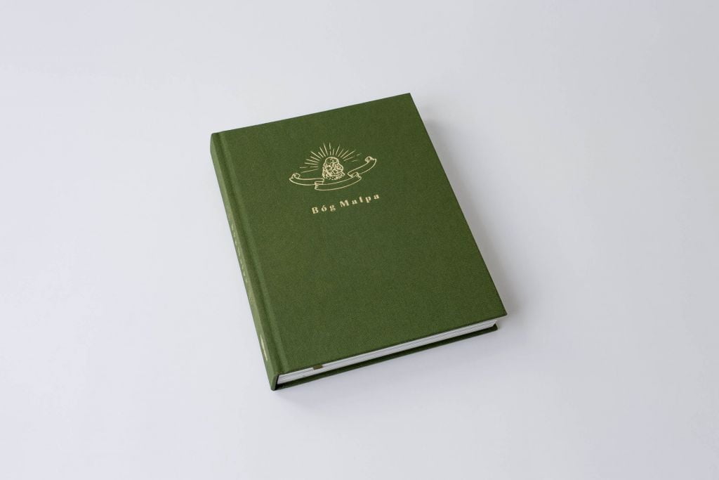 Na białym tle zielona książka, na okładce wytłoczony złoty znak oraz napis Bóg Małpa.