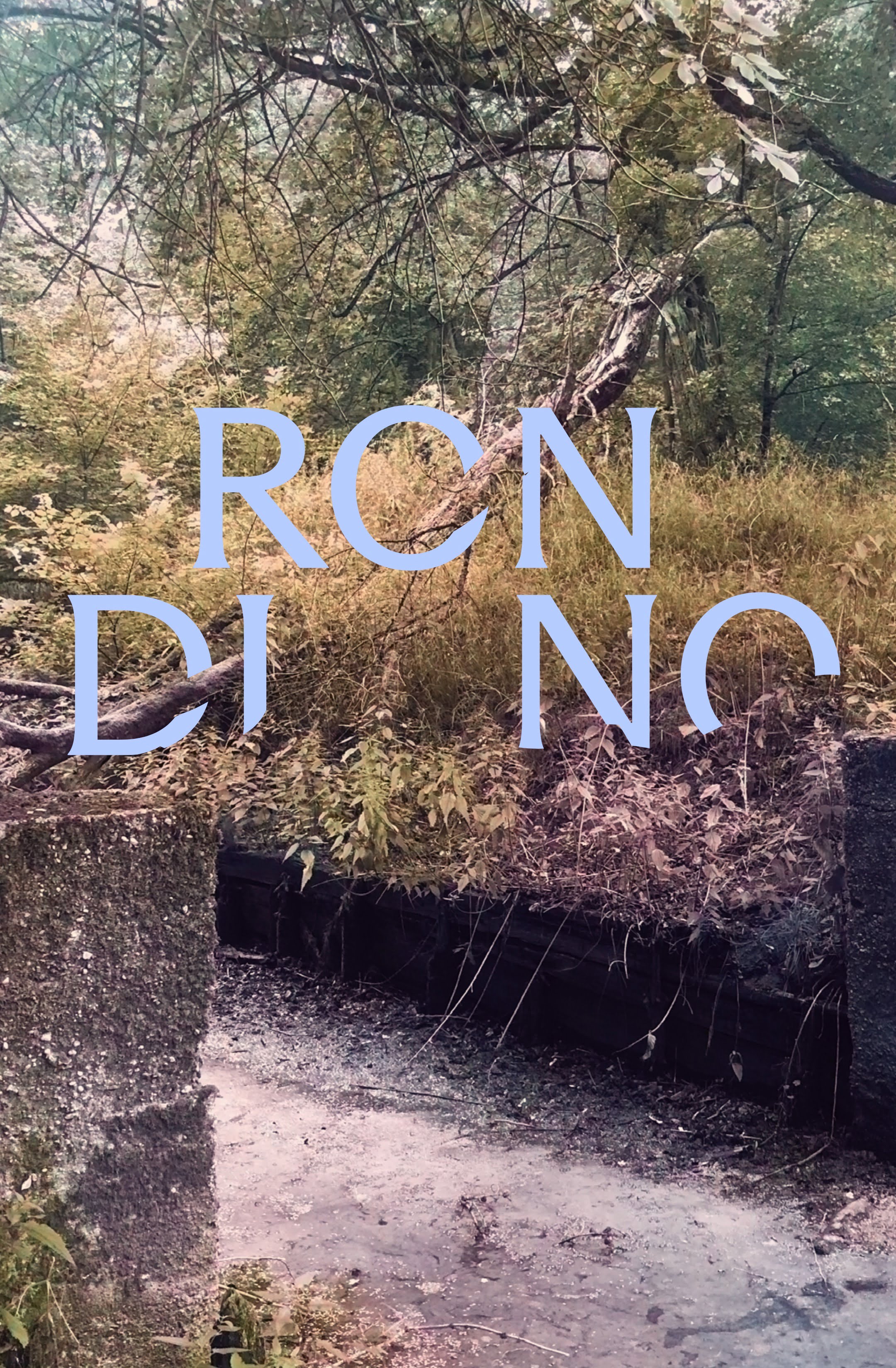 Identyfikacja projektu Rondino