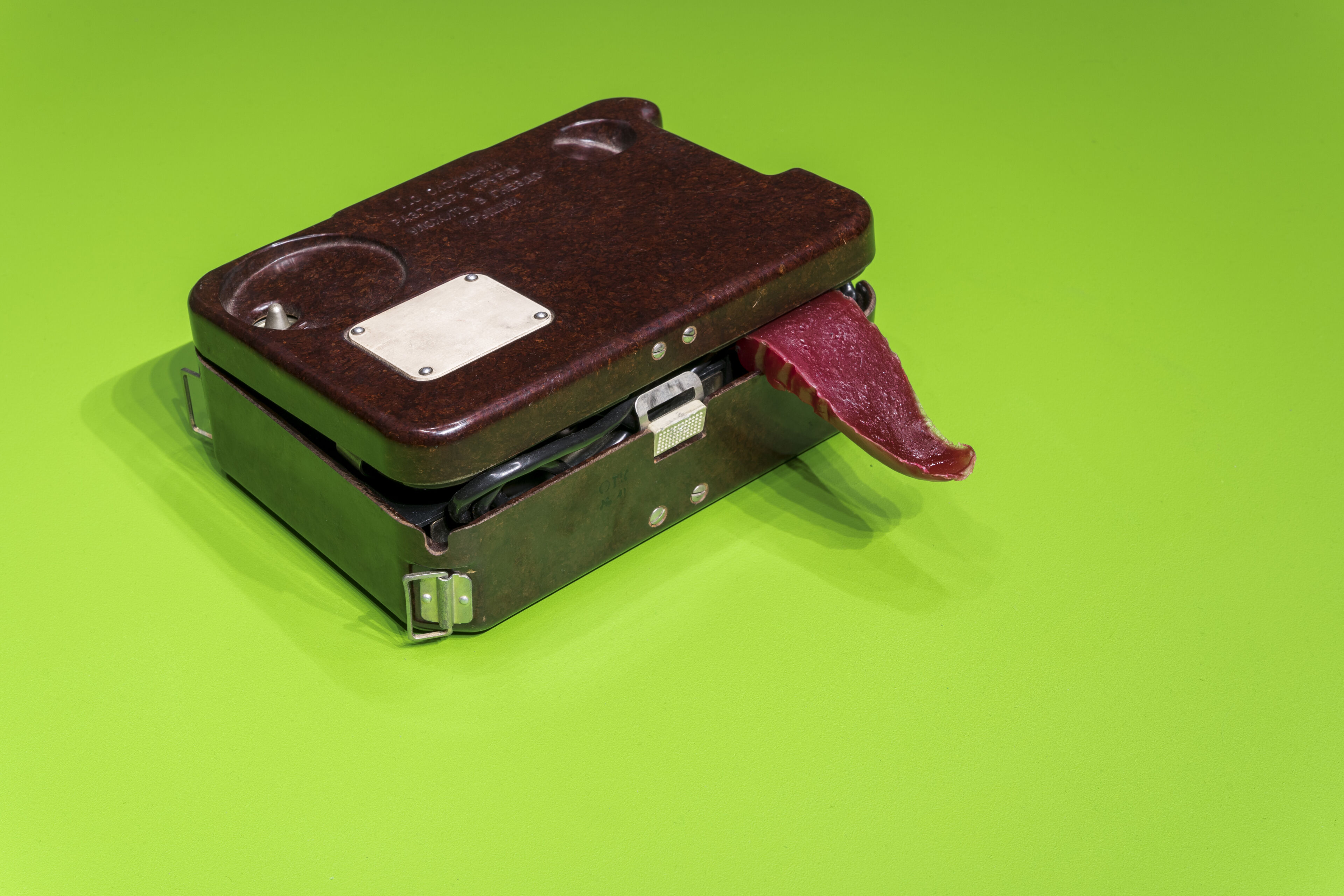 An old suitcase on a green background with a tongue-shaped object sticking out and cables visible inside.
