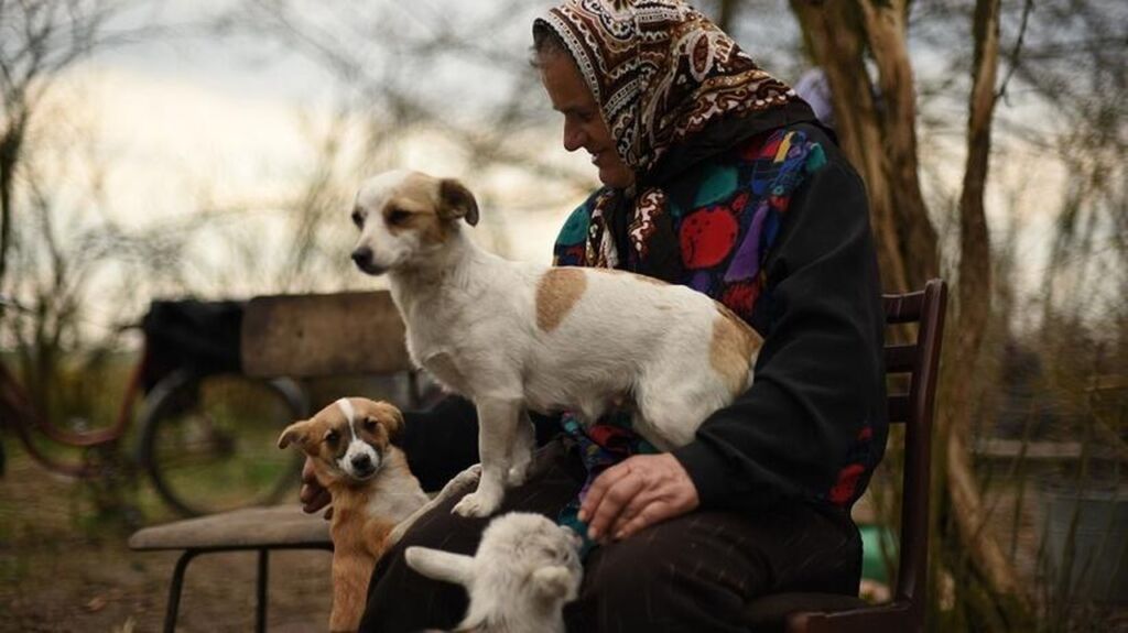 Starsza pani w chuście na głowie w wiejskim krajobrazie trzyma na kolanach jednego psa typu kundelek, drugiego głaszcze a wolną ręką karmi małego koziołka z butelki