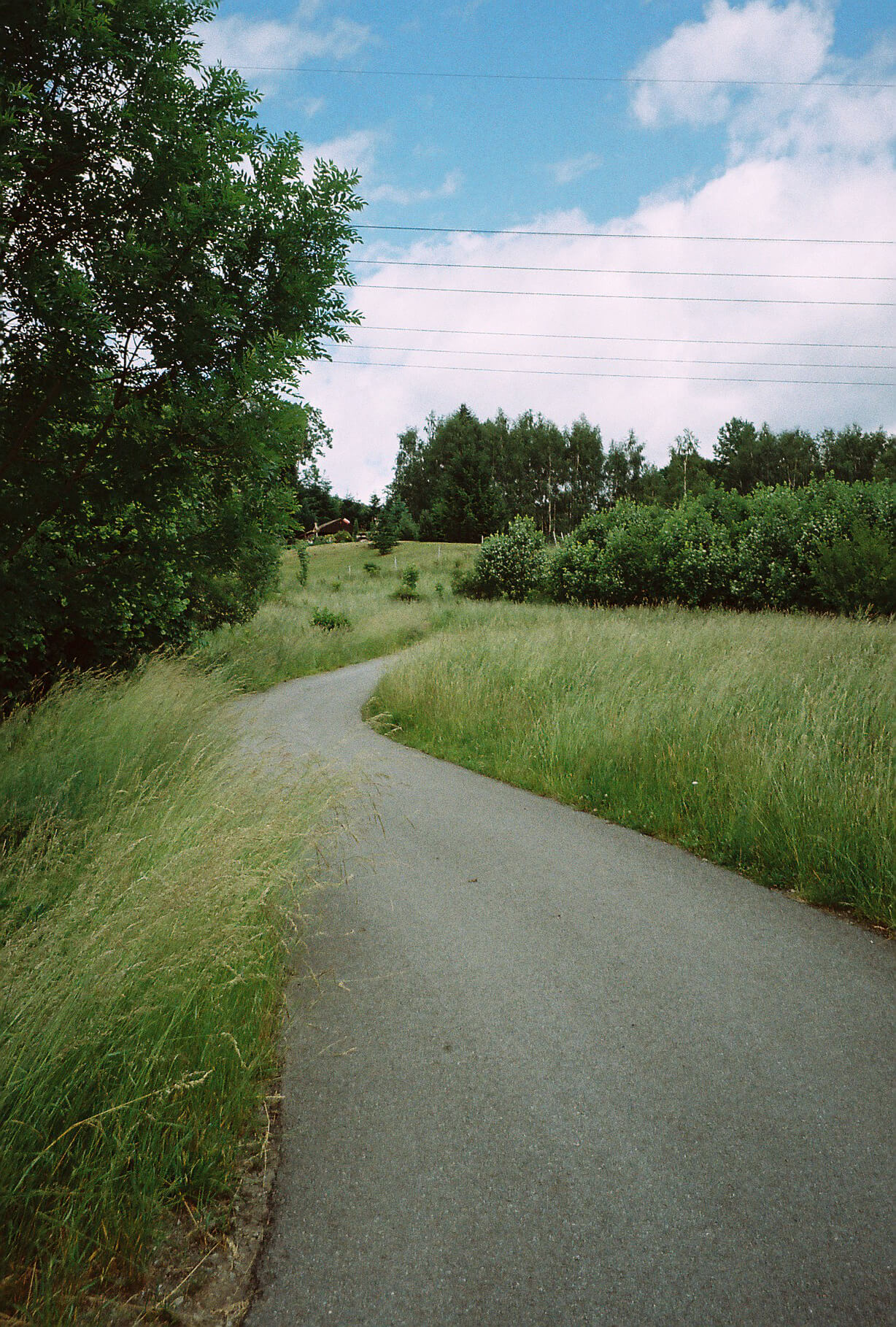 In the picture there is a winding, asphalt, narrow road that turns between trees and meadows into some nice place