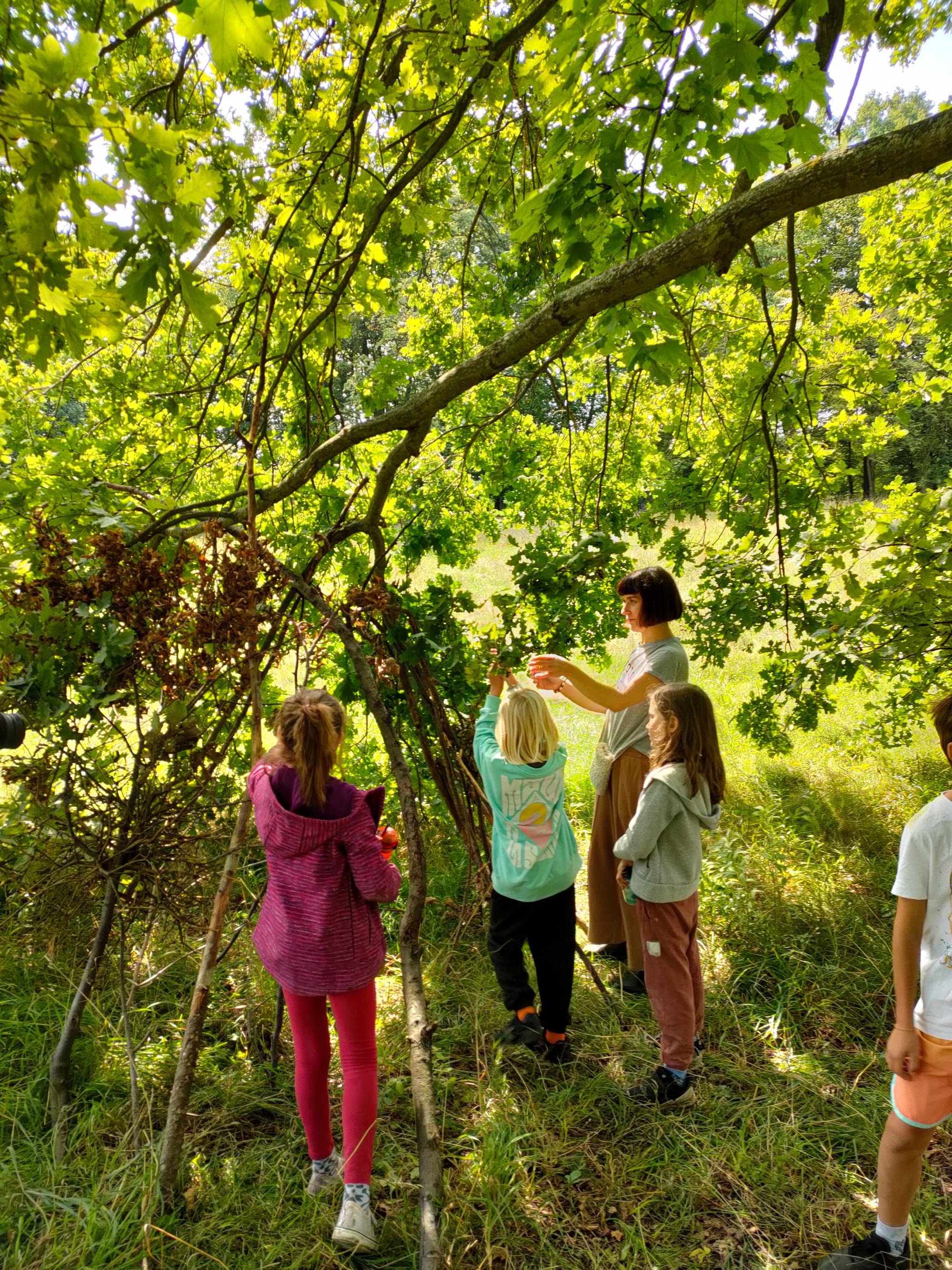 Grupa dzieci stojących pod drzewem na zalesionym terenie.