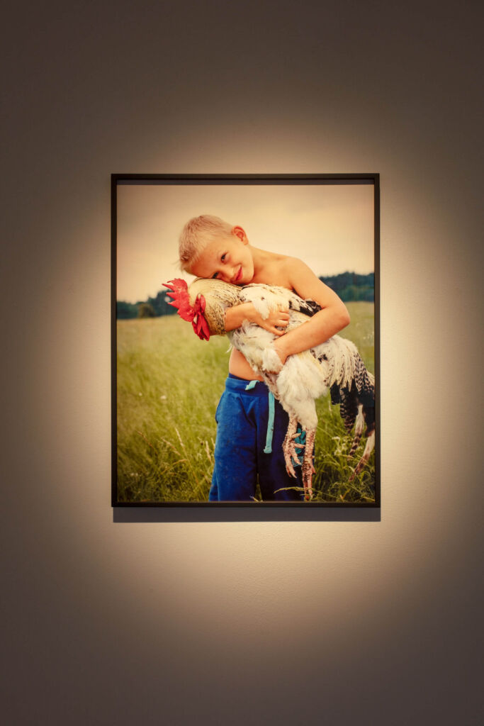 A child is holding a rooster in a framed photo.