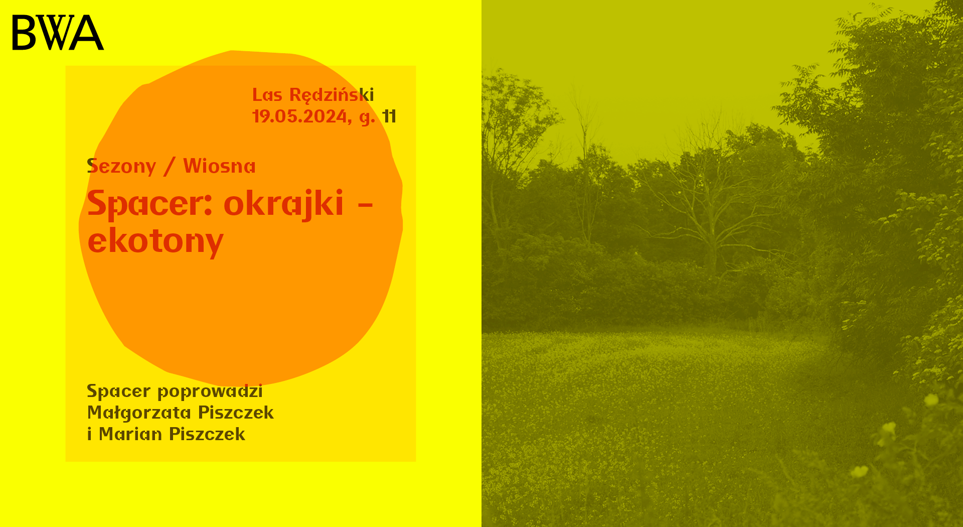 Podzielony obraz: lewa strona wyświetla żółty plakat z tekstem o wiosennym spacerze ekotonowym w języku polskim, prawa strona przedstawia bujną, zieloną ścieżkę przyrodniczą.