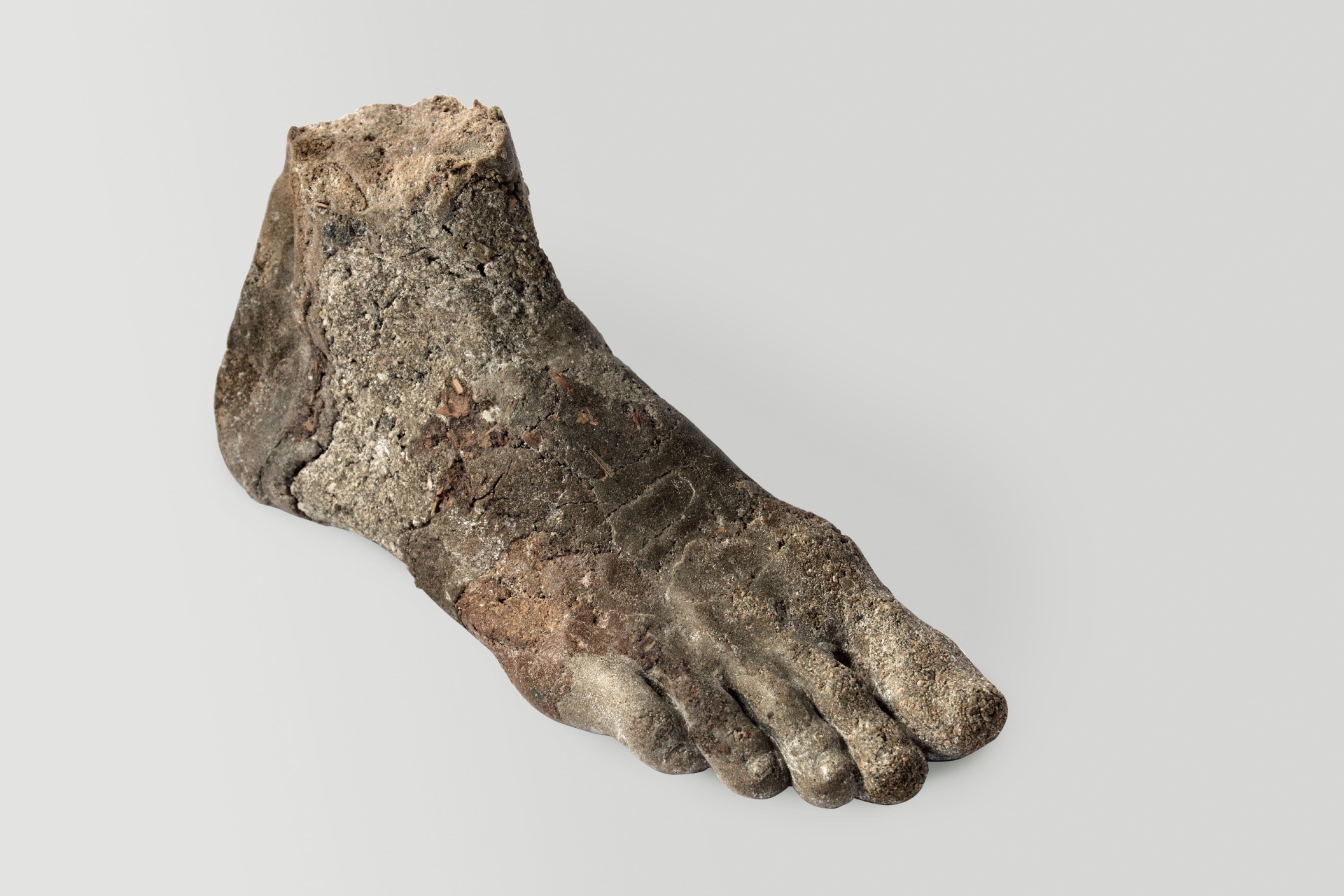 A weathered, ancient statue fragment depicting the right foot of a human, showcasing detailed toes and part of the ankle, rests against a plain white background, reminiscent of artifacts found in BWA Wrocław exhibits.