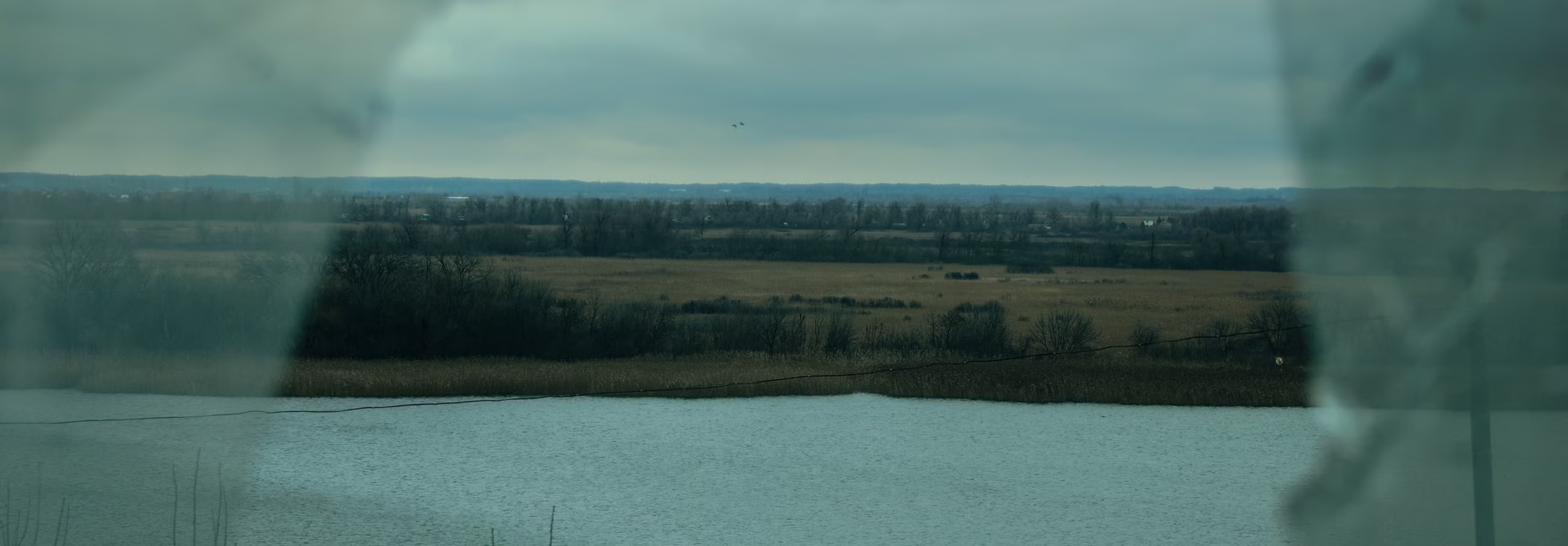Pochmurny krajobraz ze zbiornikiem wodnym na pierwszym planie, bezlistnymi drzewami i otwartymi polami w oddali, widziany przez szklane okno.