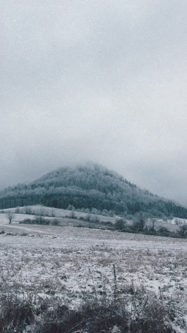 Pokryte śniegiem wzgórze z drzewami częściowo zasłoniętymi przez mgłę pod zachmurzonym niebem, otoczone mroźnym polem i rzadką roślinnością.